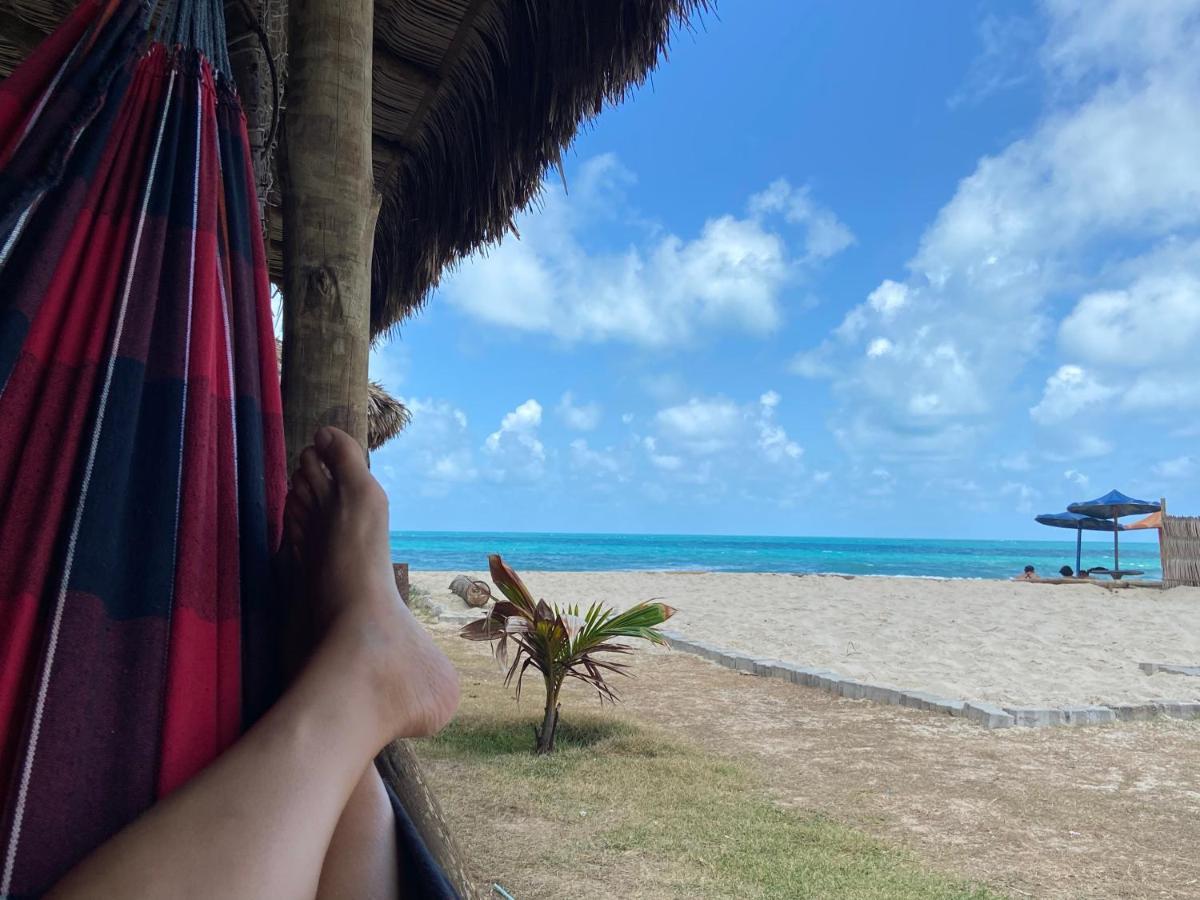 Pousada Secret Spot Kite Club フォルタレザ エクステリア 写真